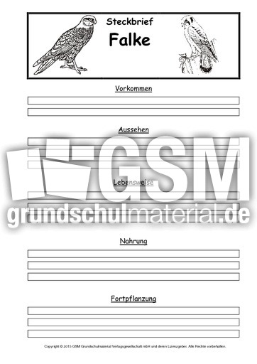 Steckbriefvorlage-Falke.pdf